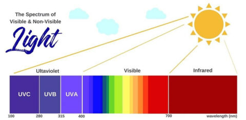 UVC LIGHT  SANITIZERS